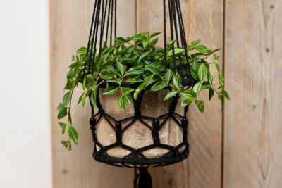 Zo knoop je zelf een macramé plantenhanger
